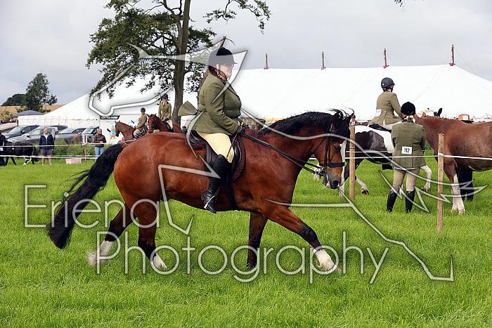 Carnwath2025Ring3030