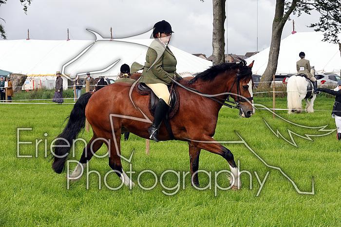 Carnwath2025Ring3031