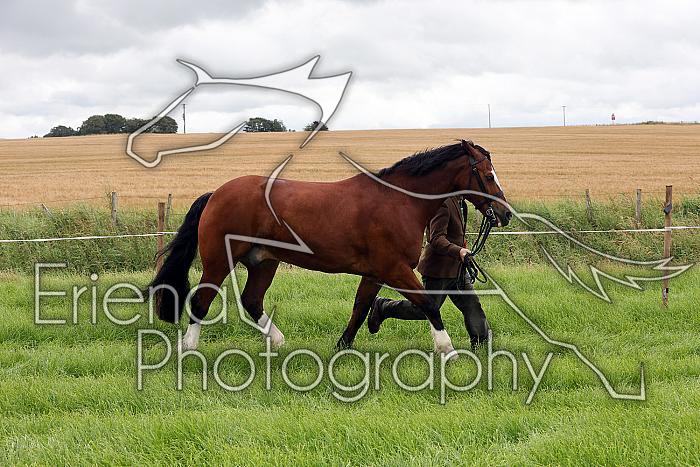 Carnwath2025Ring3059