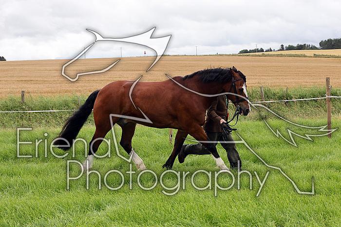 Carnwath2025Ring3060