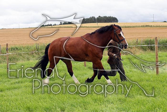 Carnwath2025Ring3061