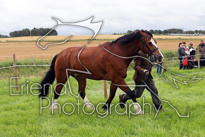 Carnwath2025Ring3062
