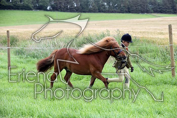 Carnwath2025Ring3089
