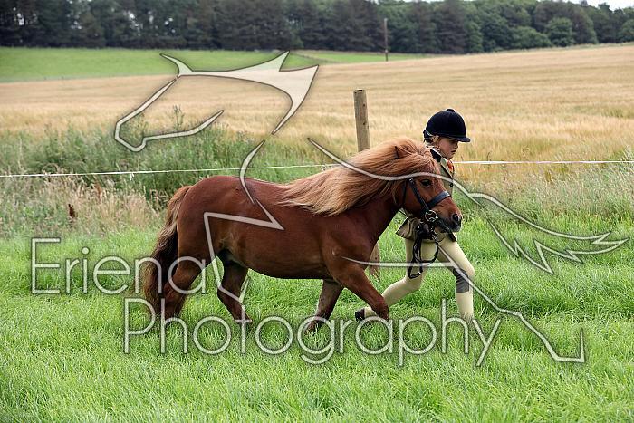 Carnwath2025Ring3090
