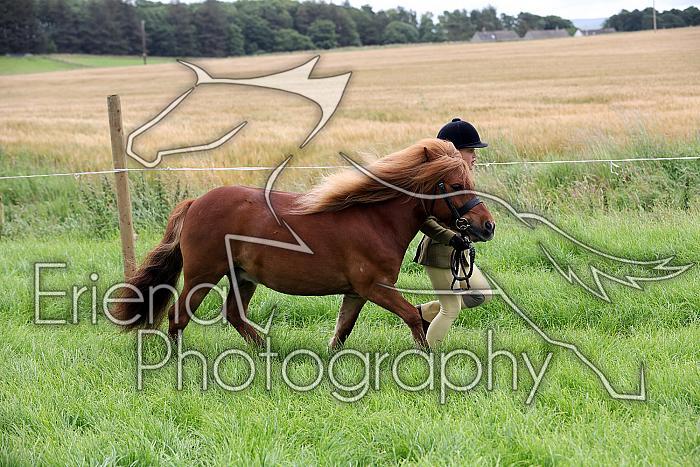 Carnwath2025Ring3091