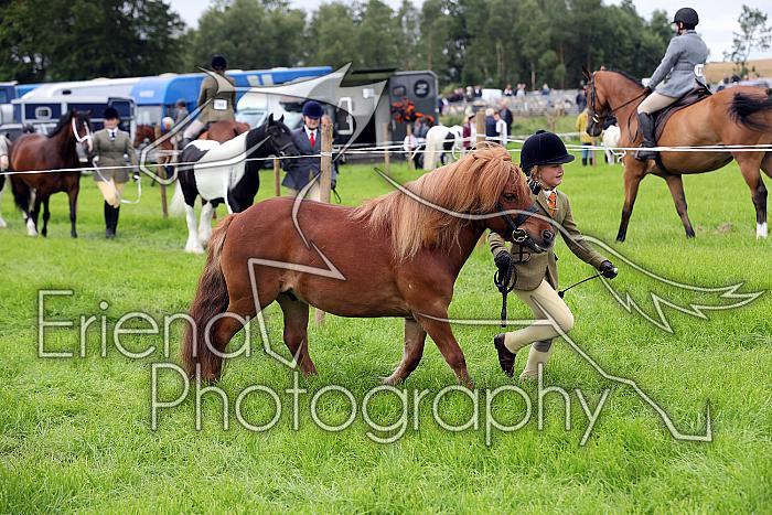 Carnwath2025Ring3095