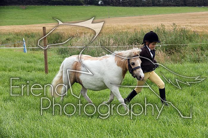 Carnwath2025Ring3099