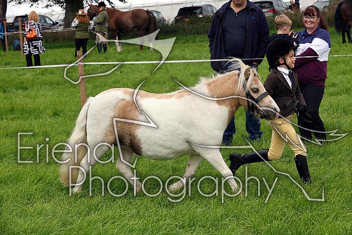 Carnwath2025Ring3102