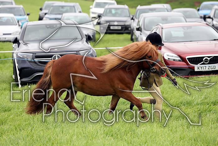 Carnwath2025Ring3110