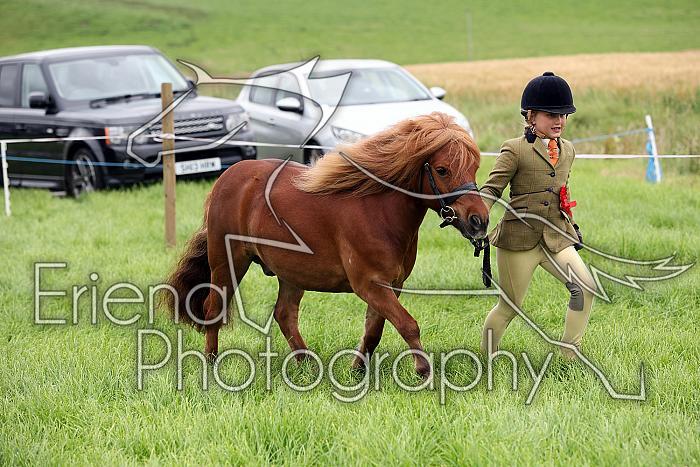 Carnwath2025Ring3111
