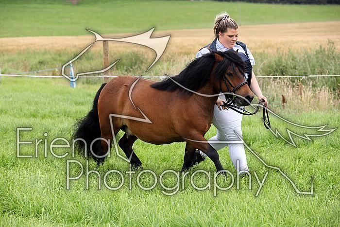 Carnwath2025Ring3114