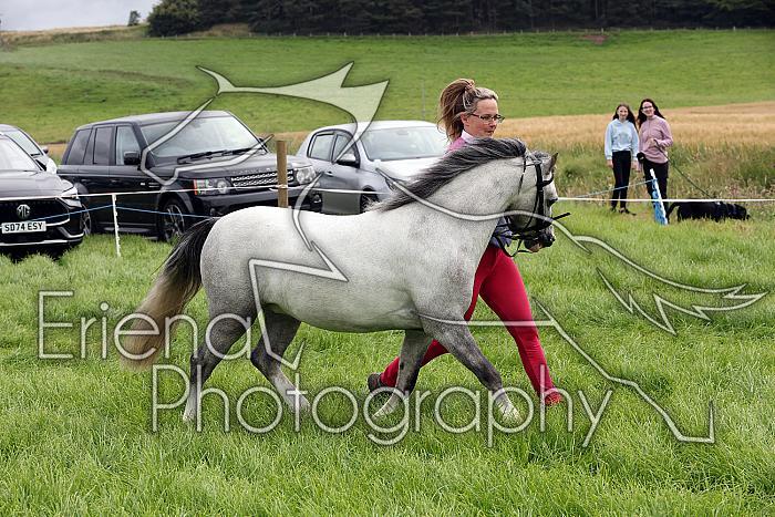 Carnwath2025Ring3161