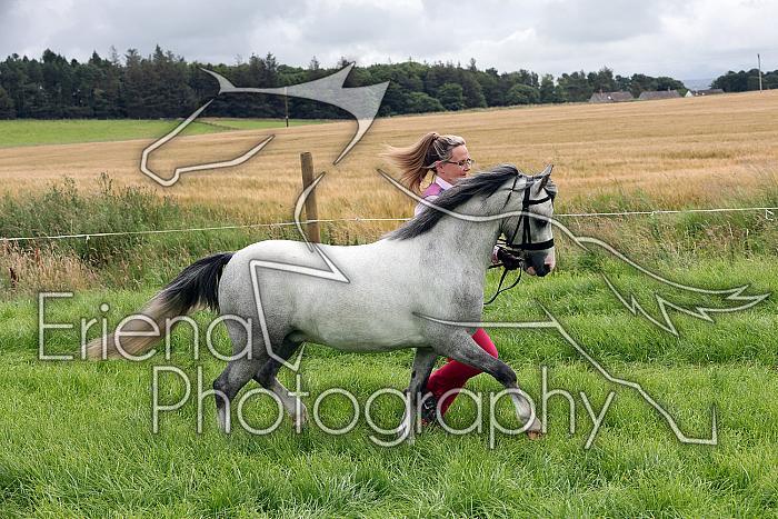 Carnwath2025Ring3163