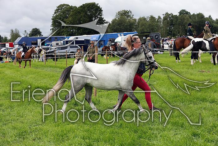 Carnwath2025Ring3167