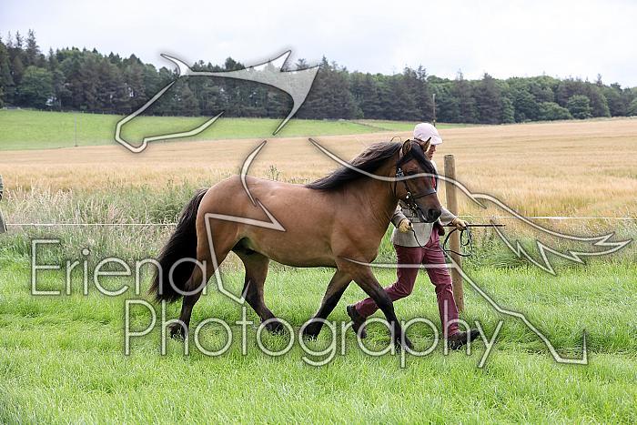 Carnwath2025Ring3169