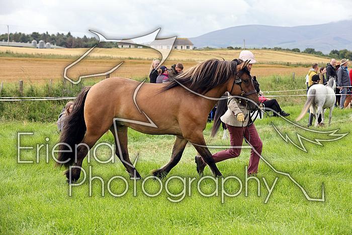 Carnwath2025Ring3174