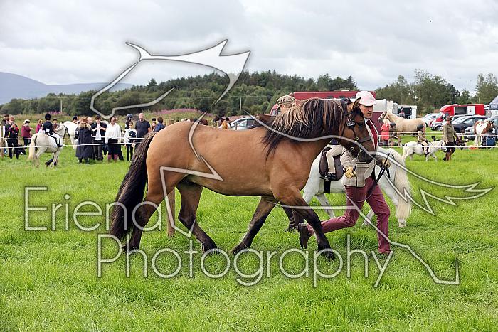 Carnwath2025Ring3177