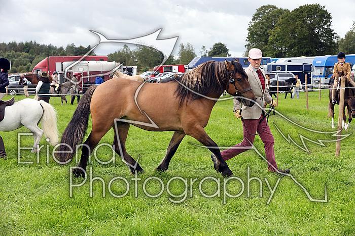 Carnwath2025Ring3178