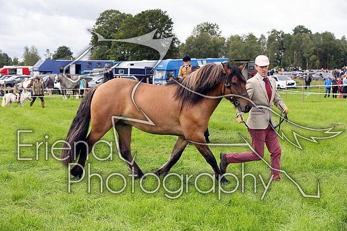 Carnwath2025Ring3179
