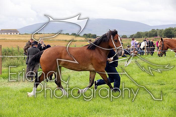 Carnwath2025Ring3180