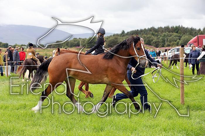 Carnwath2025Ring3181
