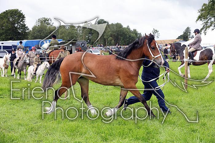 Carnwath2025Ring3184