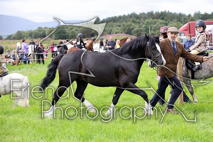 Carnwath2025Ring3188