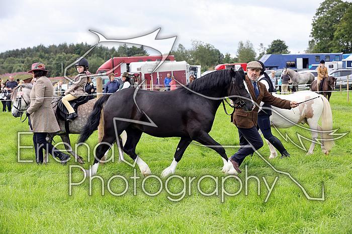 Carnwath2025Ring3189