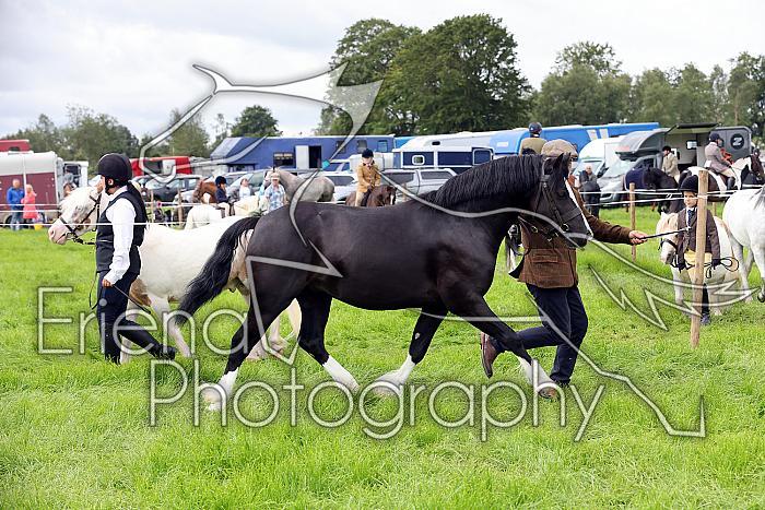 Carnwath2025Ring3190