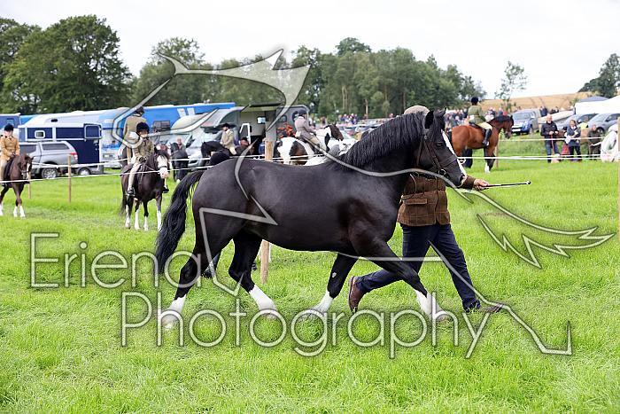 Carnwath2025Ring3191