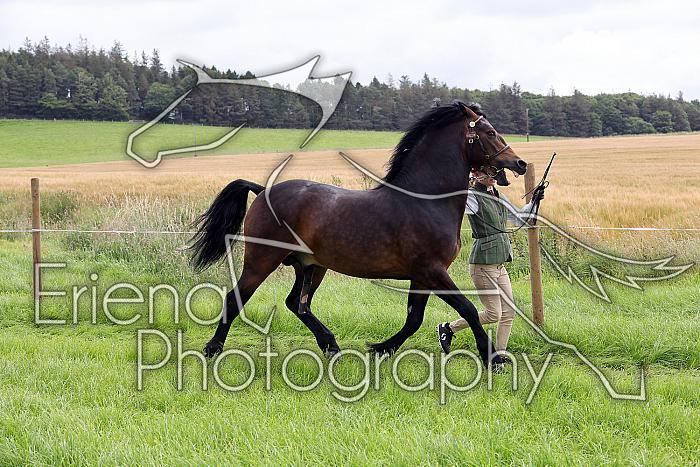 Carnwath2025Ring3192