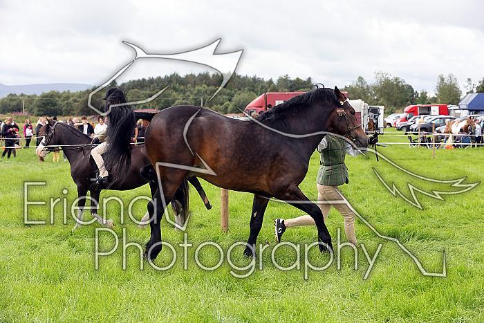Carnwath2025Ring3193