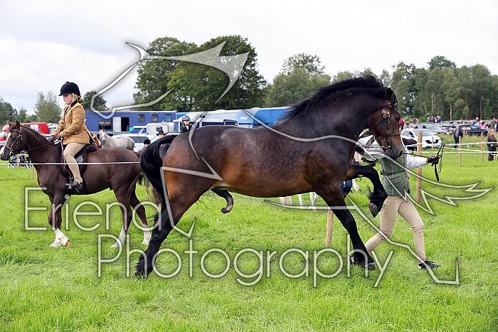 Carnwath2025Ring3195