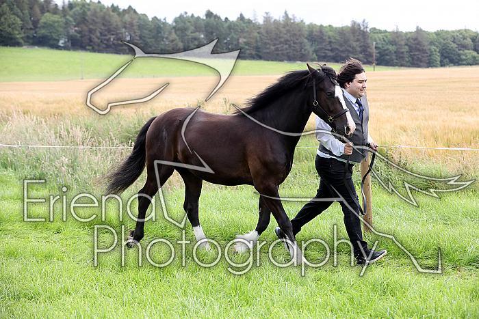 Carnwath2025Ring3196
