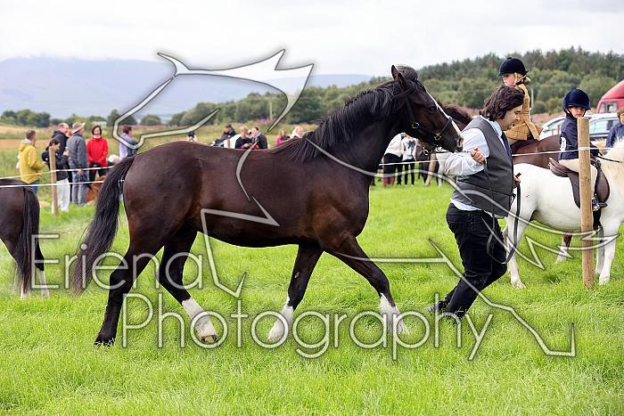 Carnwath2025Ring3200