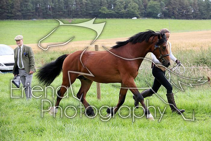 Carnwath2025Ring3201