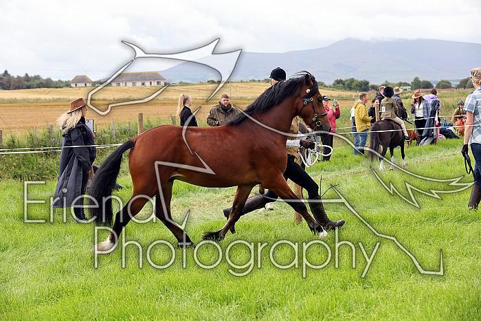 Carnwath2025Ring3202