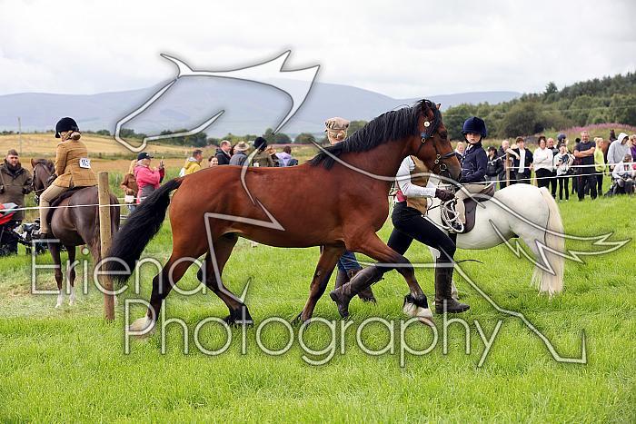 Carnwath2025Ring3203