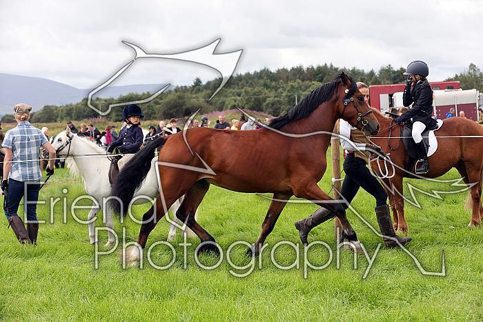 Carnwath2025Ring3204