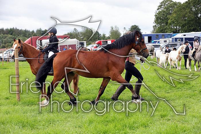 Carnwath2025Ring3205