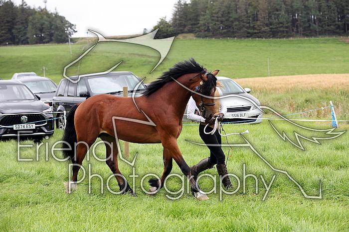 Carnwath2025Ring3208