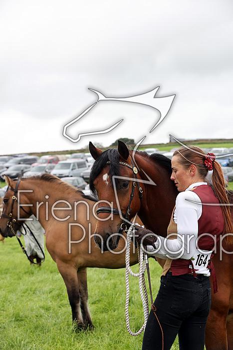 Carnwath2025Ring3209