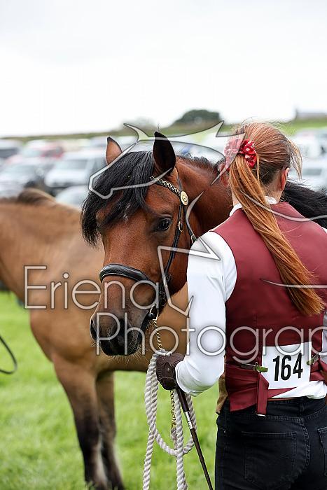 Carnwath2025Ring3210