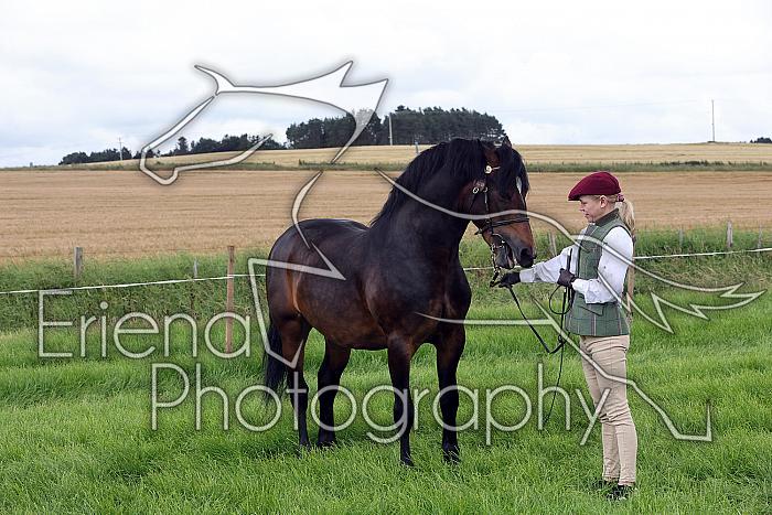 Carnwath2025Ring3212