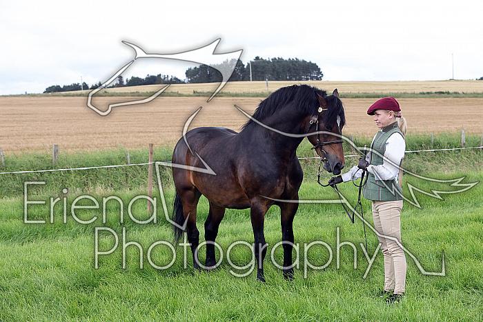 Carnwath2025Ring3213