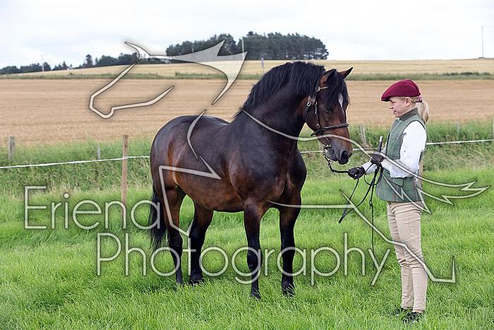Carnwath2025Ring3214