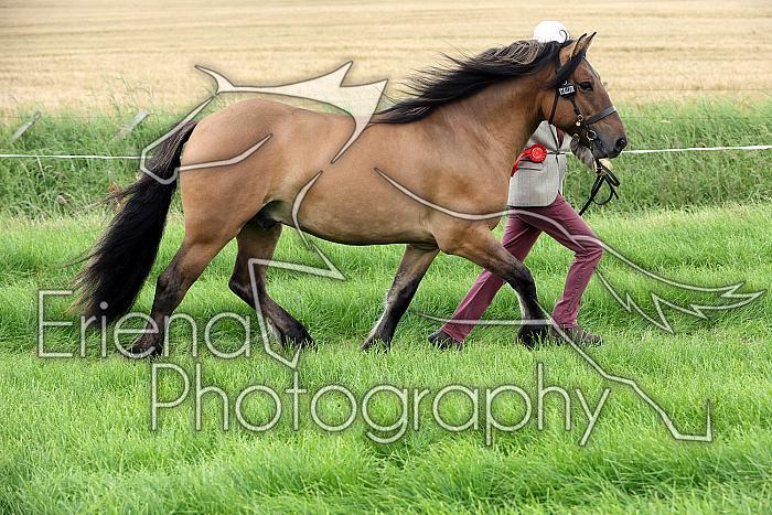 Carnwath2025Ring3220