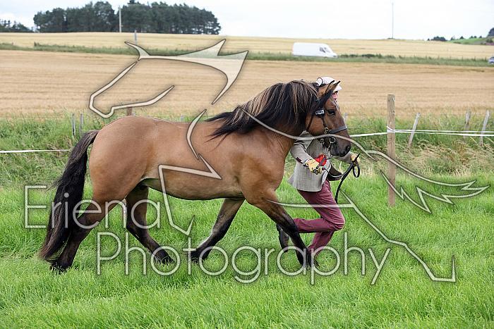 Carnwath2025Ring3221