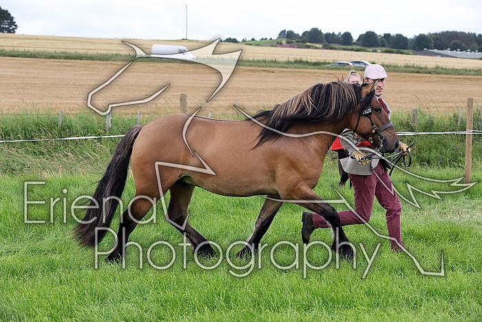 Carnwath2025Ring3222