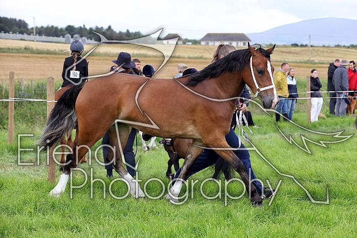 Carnwath2025Ring3225